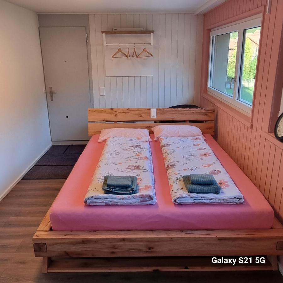 Mountain - 3 * Wilderswil