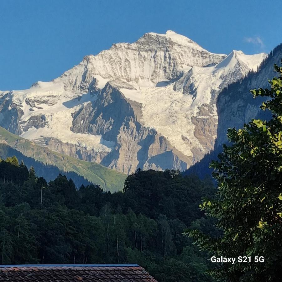 Mountain - 3