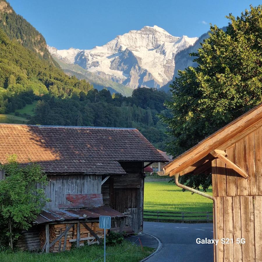 Mountain - 3 * Wilderswil